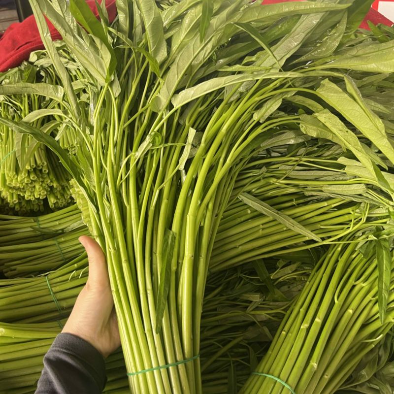 空心菜，广东空心菜，产地直发，一手货源