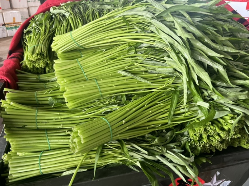 空心菜，广东空心菜，产地直发，一手货源