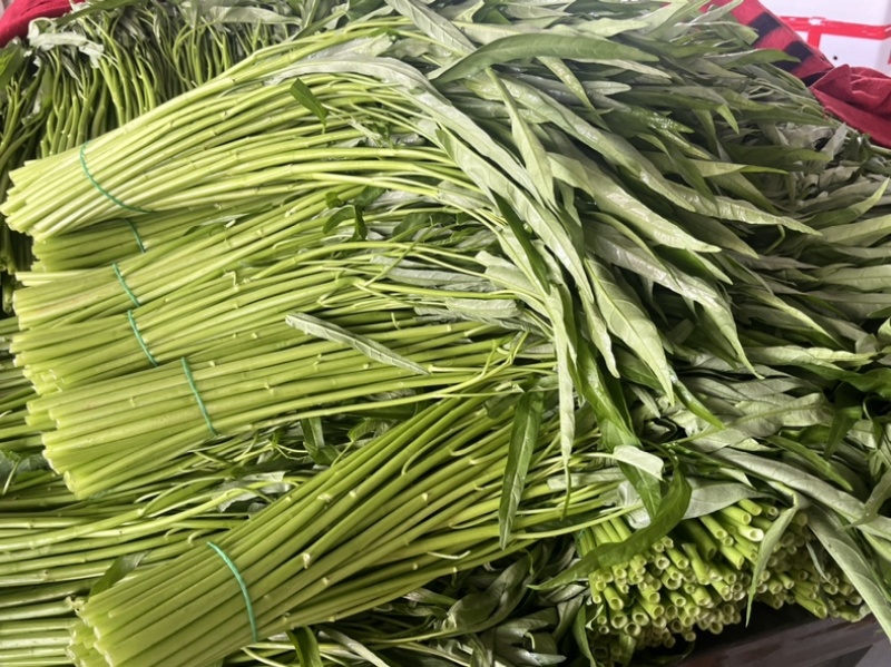 空心菜，广东空心菜，产地直发，一手货源