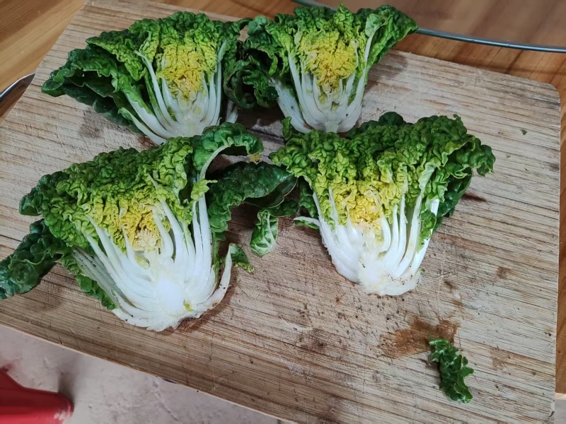黄心菜