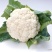 陕西汉中城固/菜花松花菜产地直发/量大从优/欢迎来电