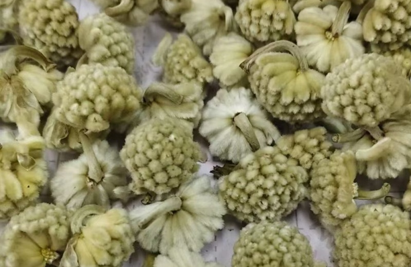 雪里花