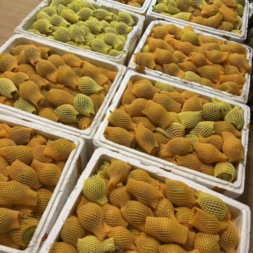 云南热情果
