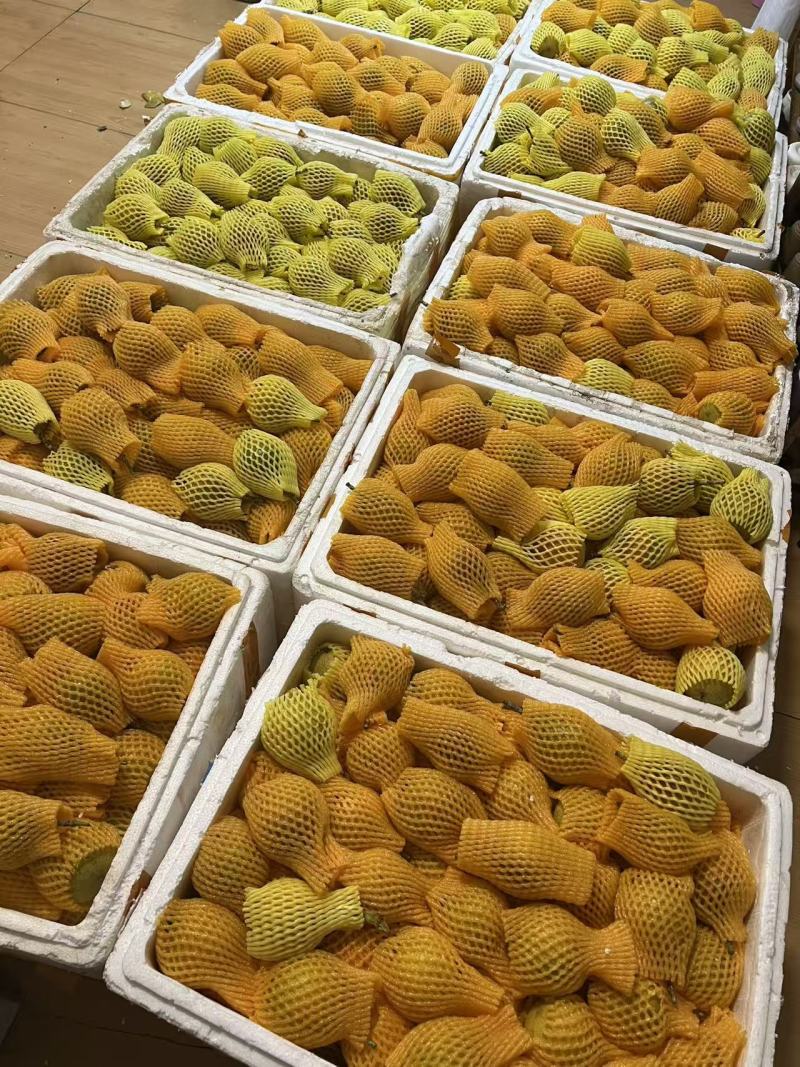 云南热情果