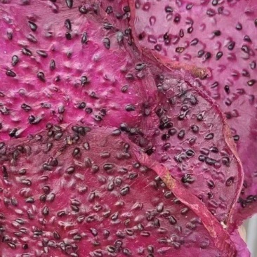 火龙果冻干火龙果