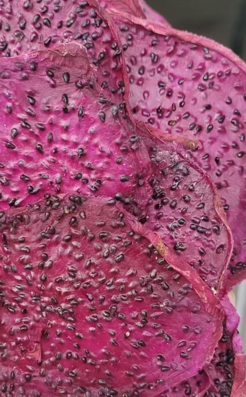 火龙果冻干火龙果