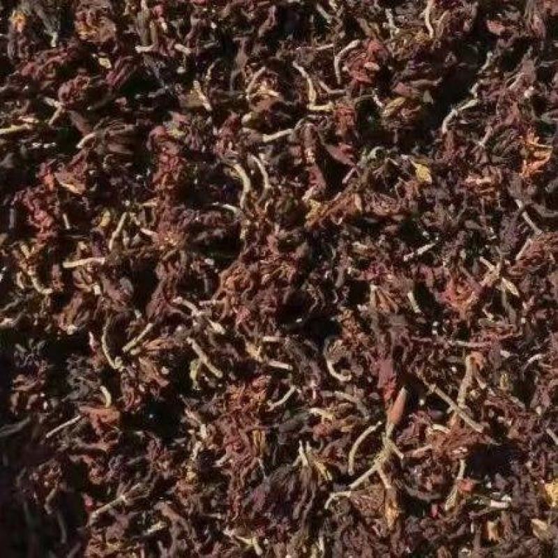 玉兰玉兰花
