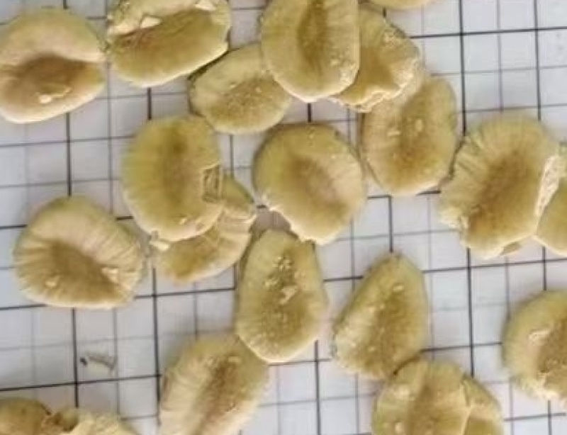 罗汉果子