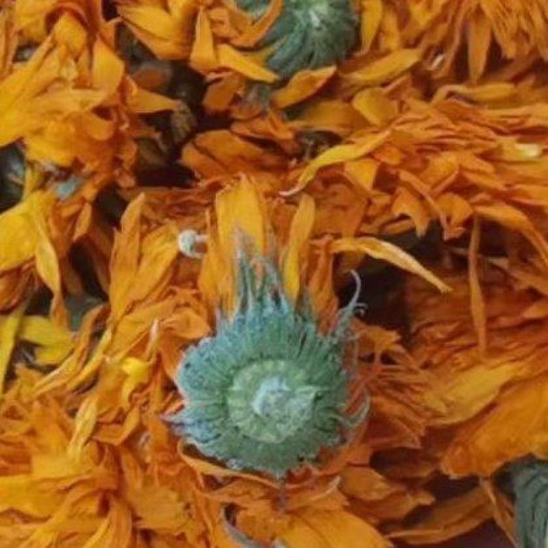 金盏菊万寿菊