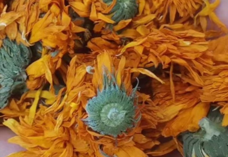 金盏菊万寿菊