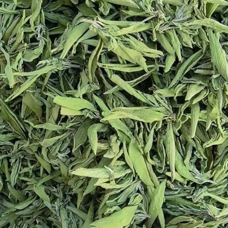 甜叶菊