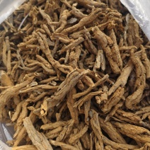 地骨皮品质保证价格优惠欢迎来电洽谈诚信经营
