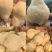 中华佛手梨