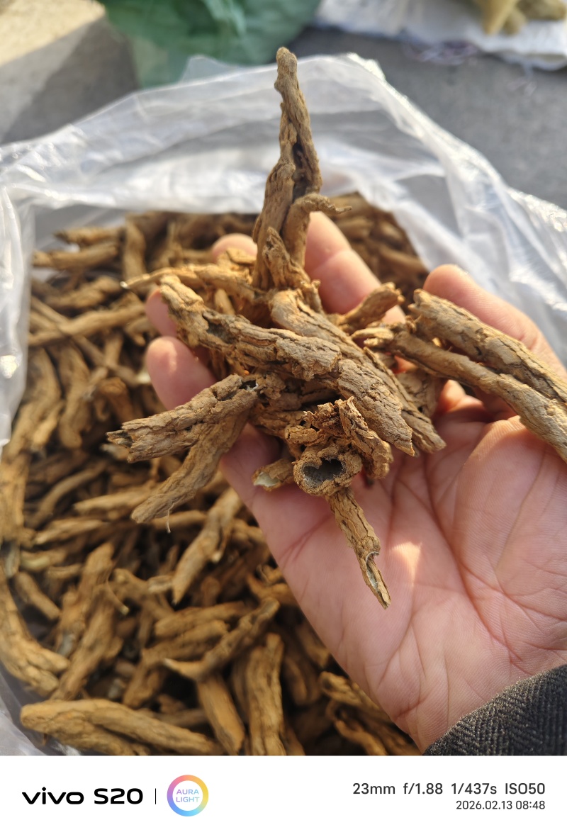 地骨皮品质保证价格优惠欢迎来电洽谈诚信经营