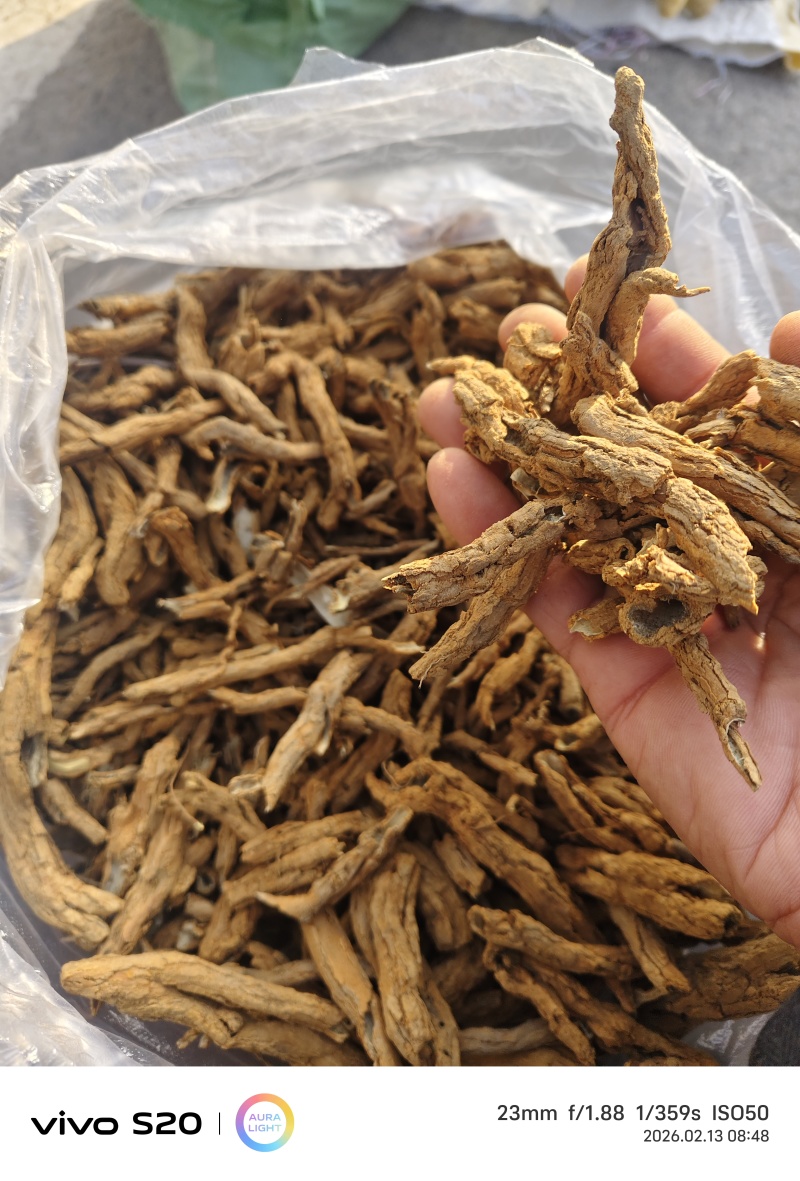 地骨皮品质保证价格优惠欢迎来电洽谈诚信经营