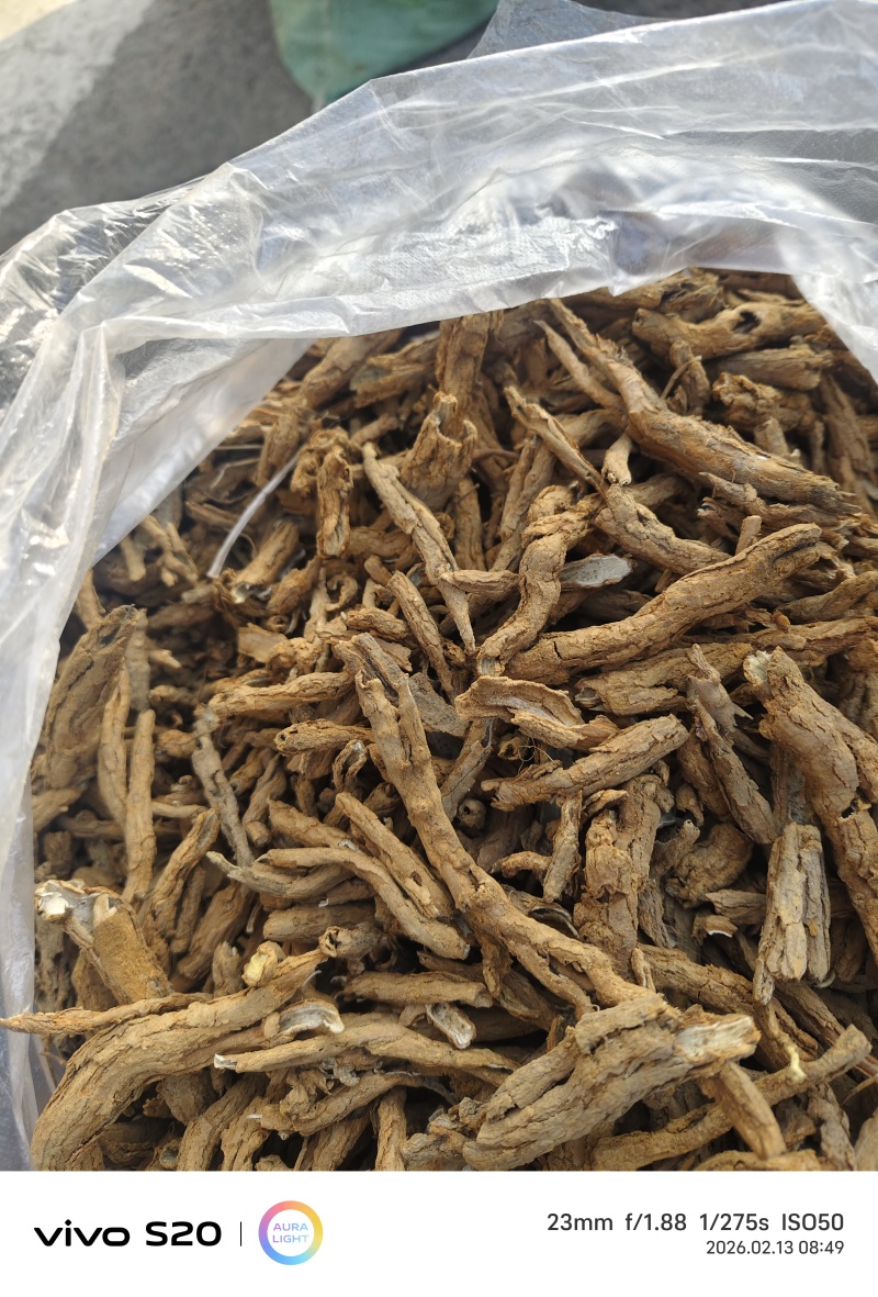 地骨皮品质保证价格优惠欢迎来电洽谈诚信经营