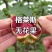 格莱斯无花果