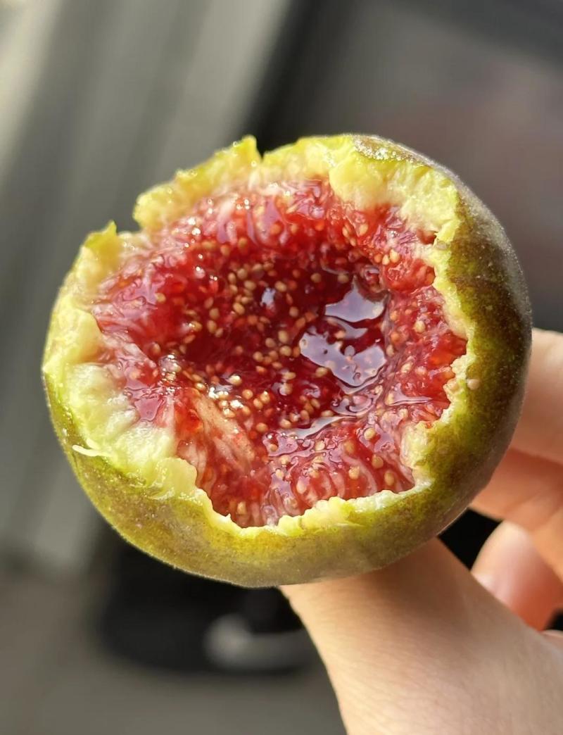 格莱斯无花果