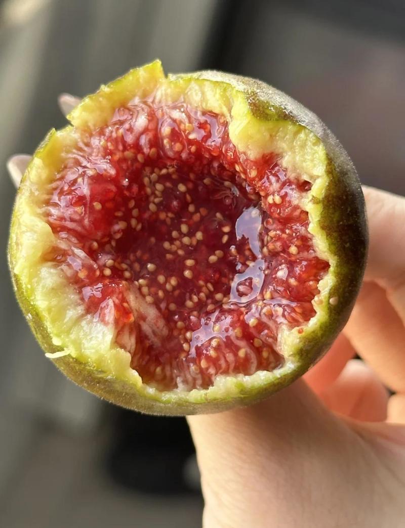 格莱斯无花果