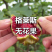 格莱斯无花果