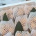 【推荐】云南红河精品琵琶量大从优对接各大批发市场