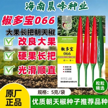 椒多宝066改良大果朝天椒种子长把长柄硬果早熟耐高温耐干