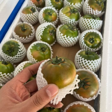 精品草莓番茄