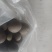 羊结石