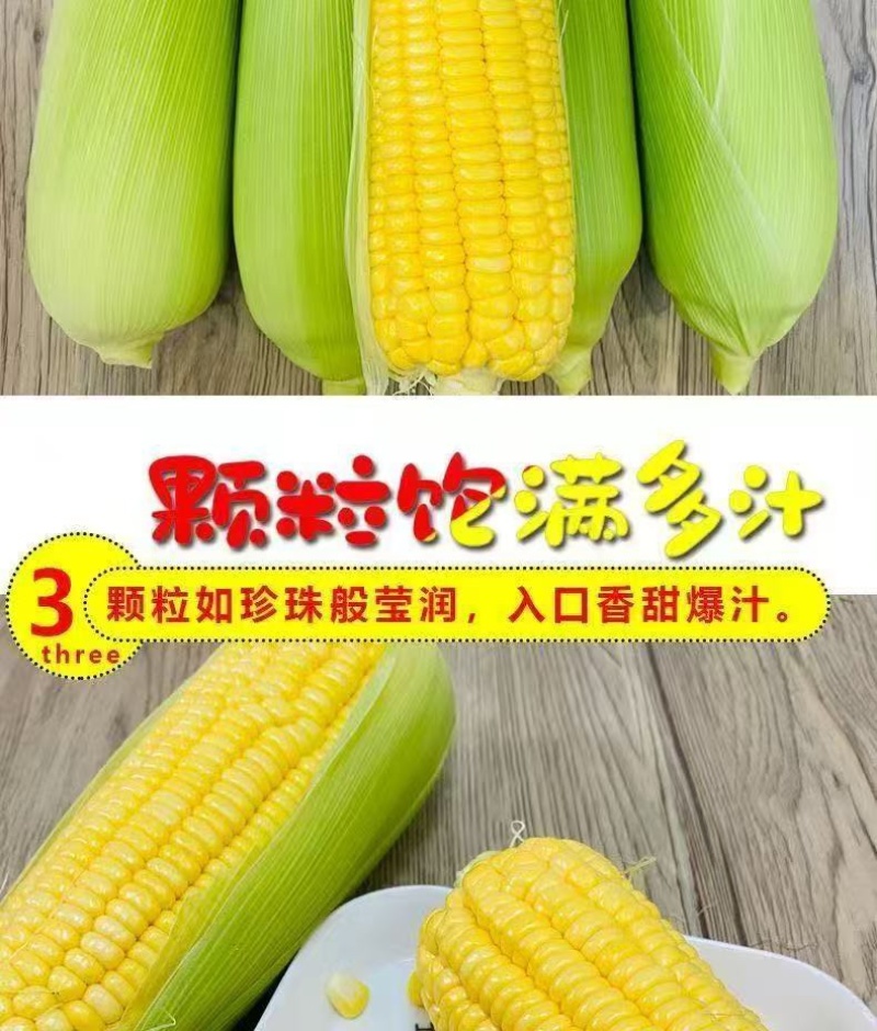 水果玉米/产区直发/货源充足/欢迎选购/