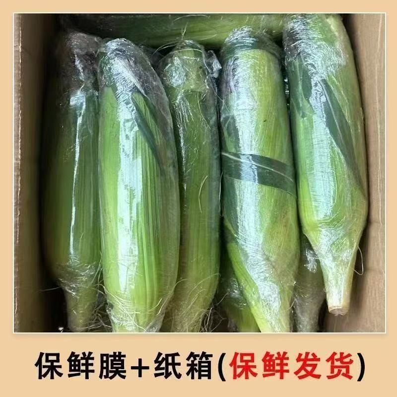 水果玉米/产区直发/货源充足/欢迎选购/