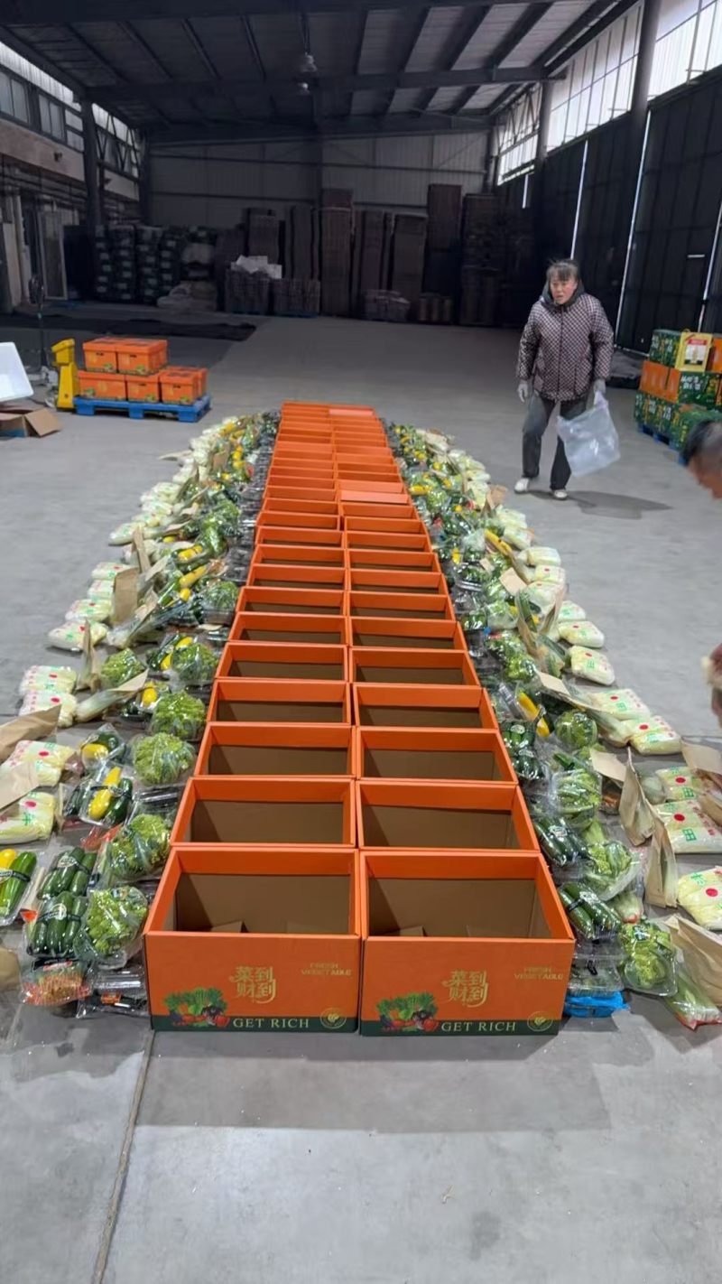 精品套菜，2026年蔬菜礼包，对接全国客商