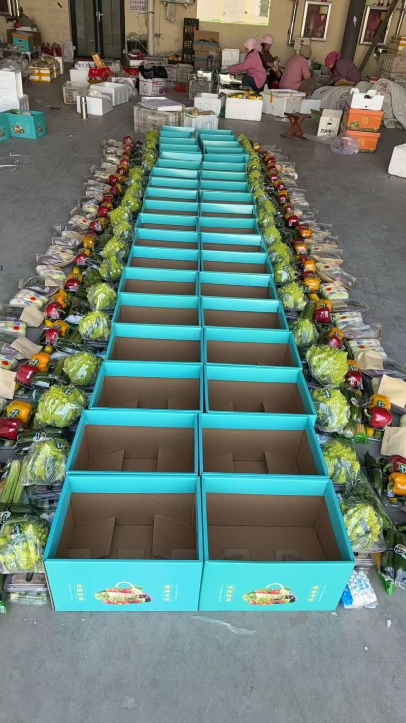 精品套菜，2026年蔬菜礼包，对接全国客商