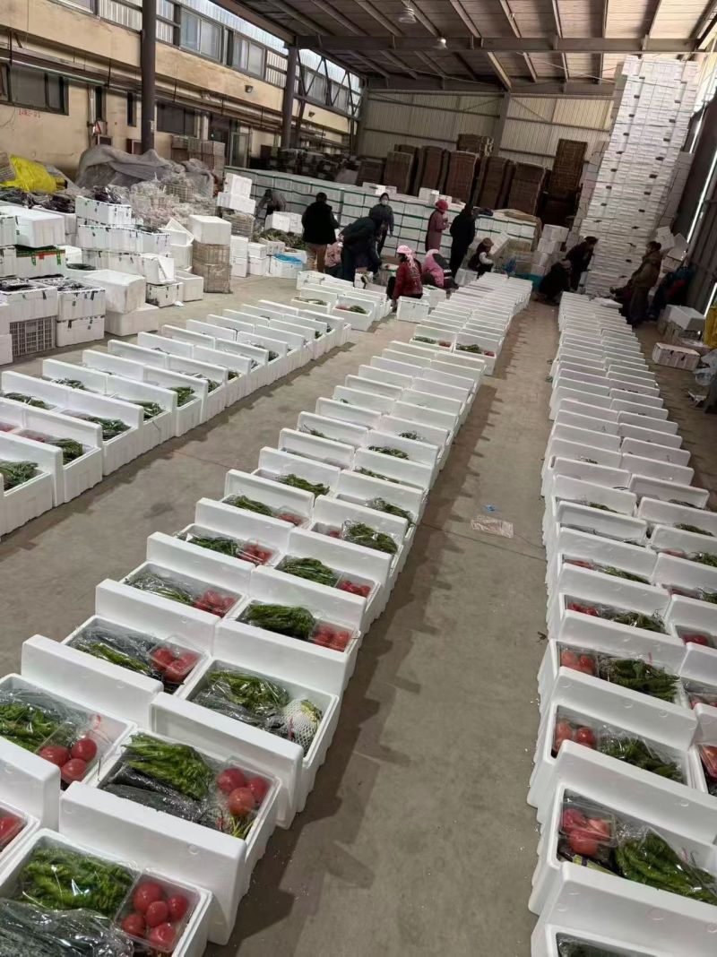 精品套菜，2026年蔬菜礼包，对接全国客商
