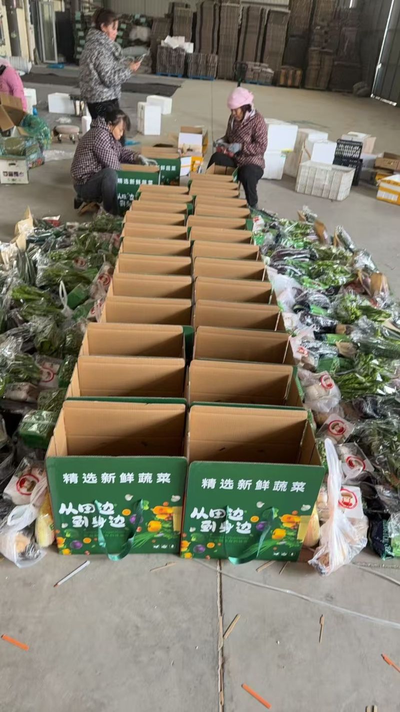 精品套菜，2026年蔬菜礼包，对接全国客商