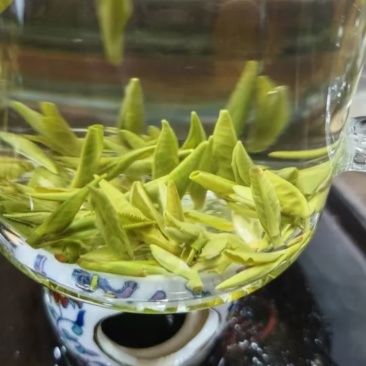 云南宝洪茶