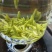 云南宝洪茶