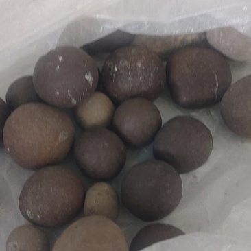 羊结石