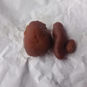 自己杀的鸡得鸡宝