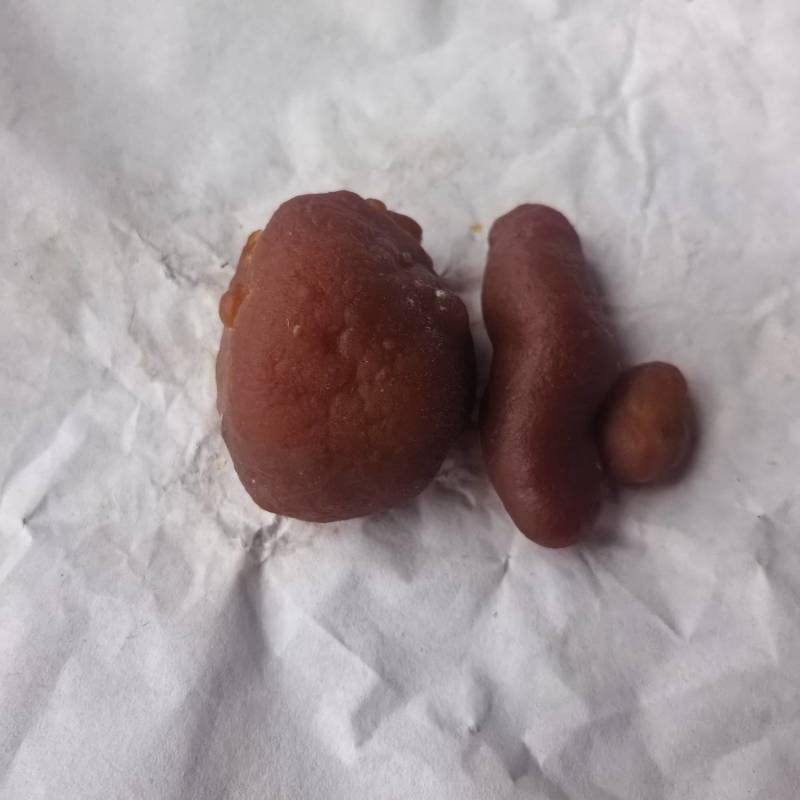 自己杀的鸡得鸡宝