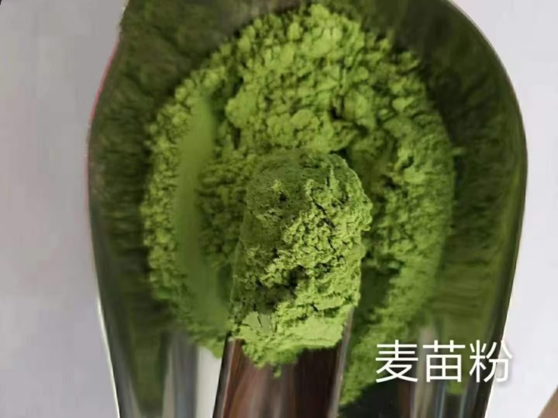江苏兴化各种蔬菜粉厂家直发欢迎随时联系咨询