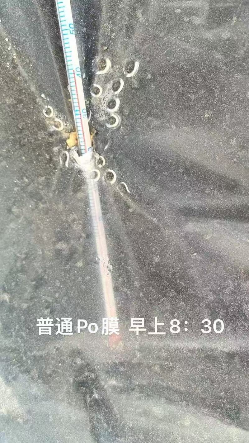 进口大棚膜无滴膜PO膜消雾加厚薄膜保温透明加厚种植塑料膜