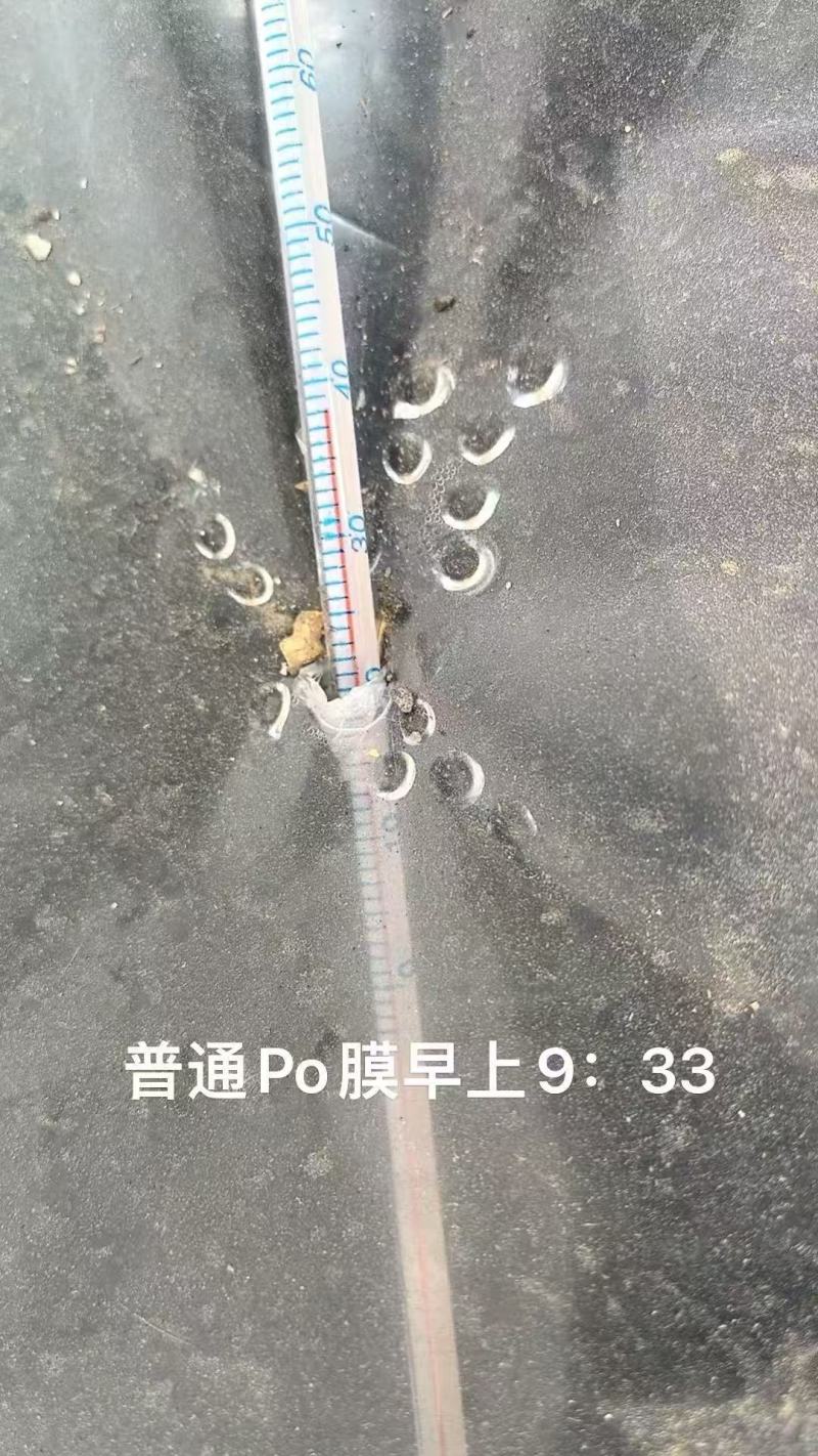 进口大棚膜无滴膜PO膜消雾加厚薄膜保温透明加厚种植塑料膜