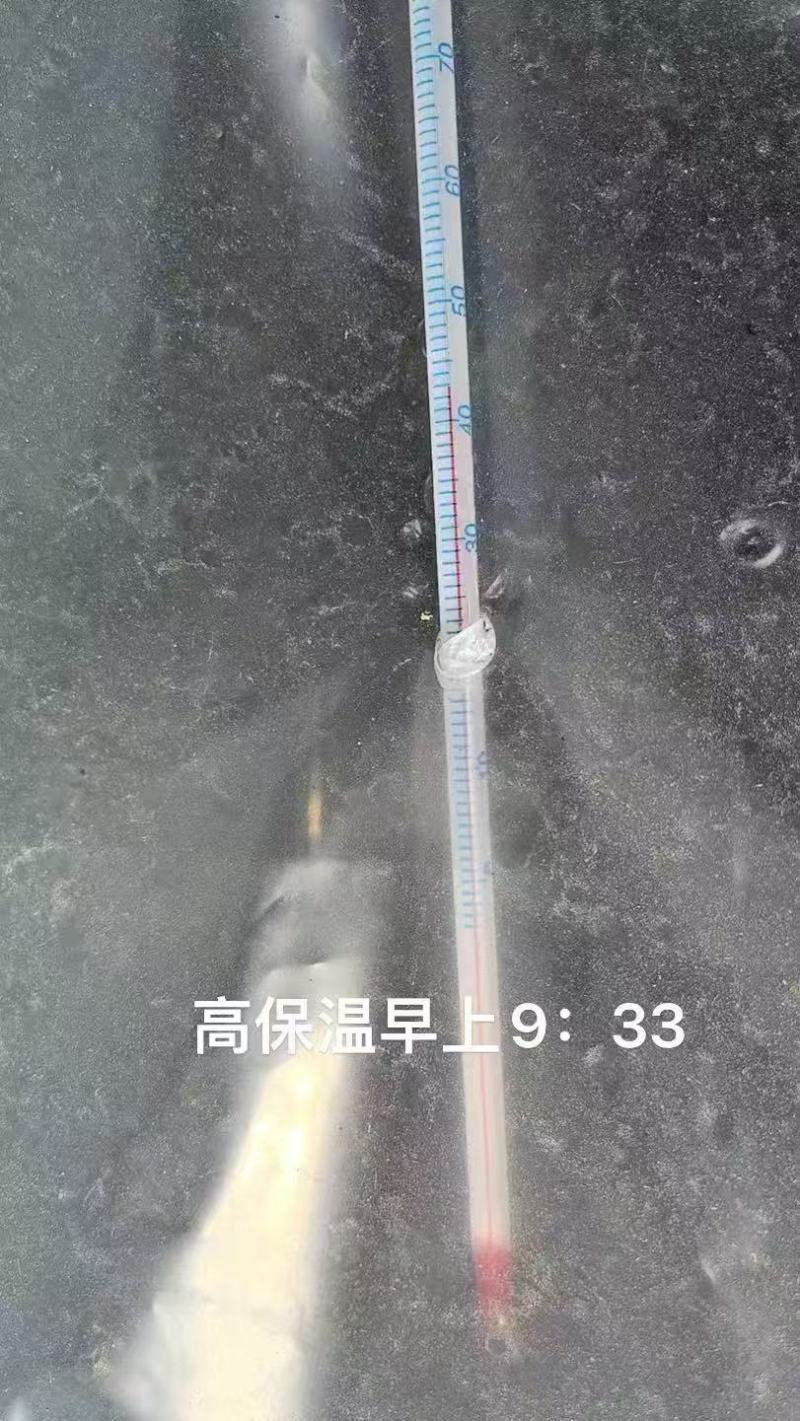 进口大棚膜无滴膜PO膜消雾加厚薄膜保温透明加厚种植塑料膜