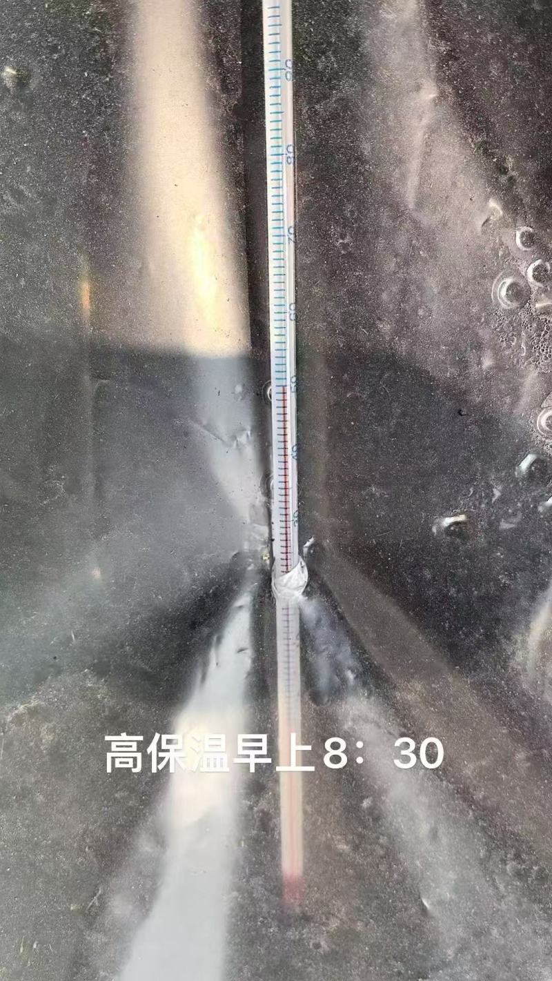 进口大棚膜无滴膜PO膜消雾加厚薄膜保温透明加厚种植塑料膜