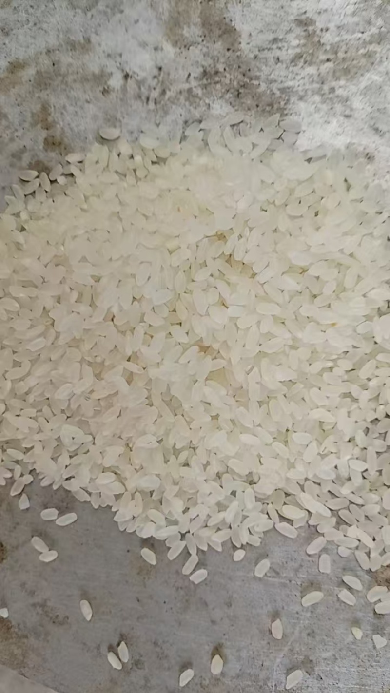 大米，大量供应，欢迎多多采购，货真价实，诚信经营