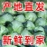 优选甘蓝规格齐全品类多样诚信经营交通便利协助装车