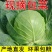 优选甘蓝规格齐全品类多样诚信经营交通便利协助装车
