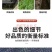 黑色遮阳防晒网加密加厚农用大棚庭院遮阴隔热网家用户外防尘
