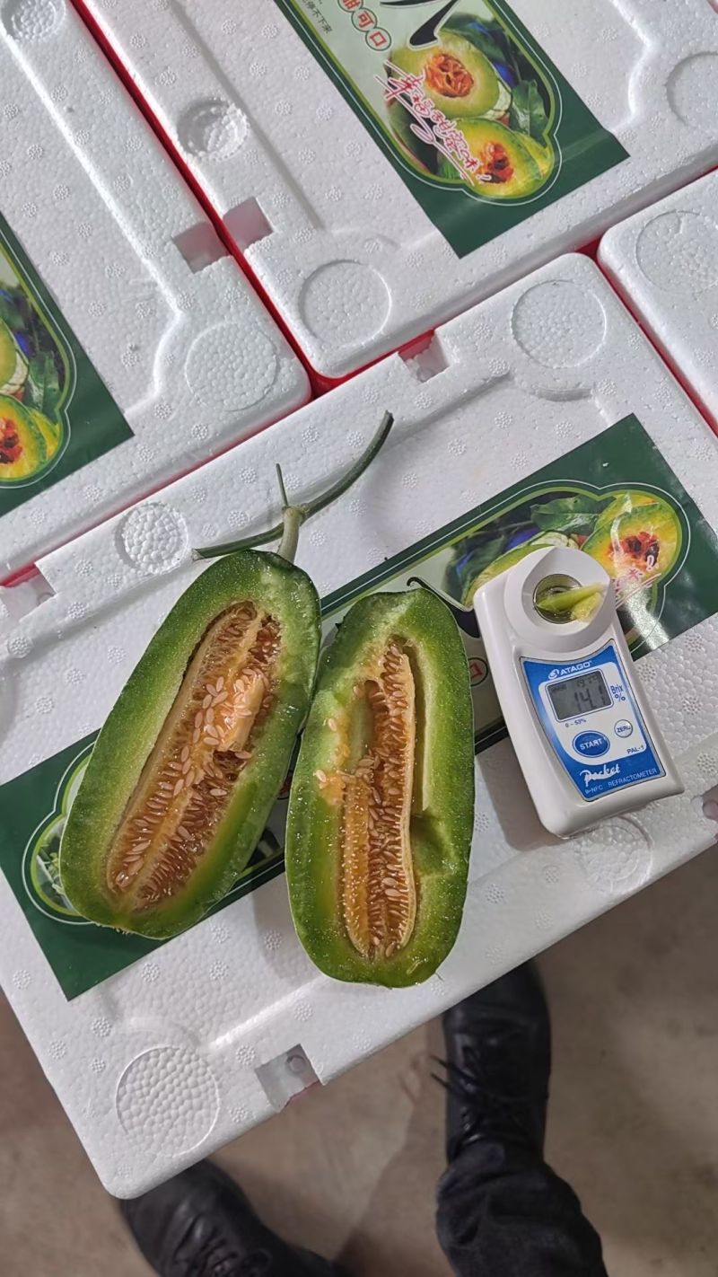 头茬博洋72甜瓜蜜园十八羊角蜜61博洋九大量上市档口团购