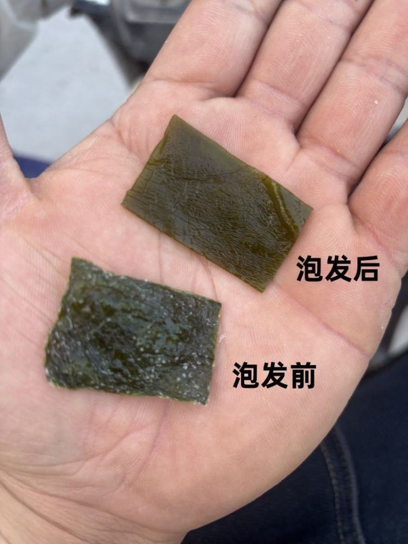 海带块海带干海带块烘干海带块海带片面馆海带块专用海带块